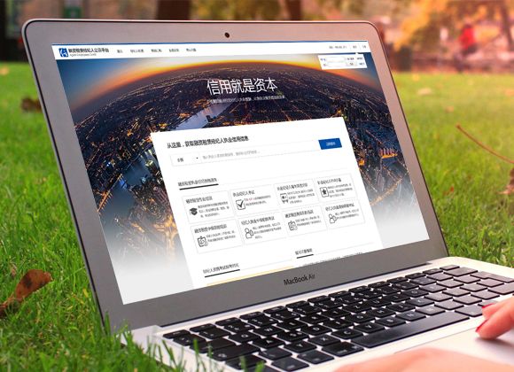 融資租賃經(jīng)紀人信用平臺系統(tǒng)開發(fā)（響應式）