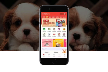 福田小程序定制開發(fā)有哪些好處？要多少錢？